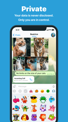 telegram 2023中文版手机软件app截图