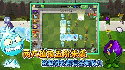 植物大战僵尸2 2024最新版手游app截图