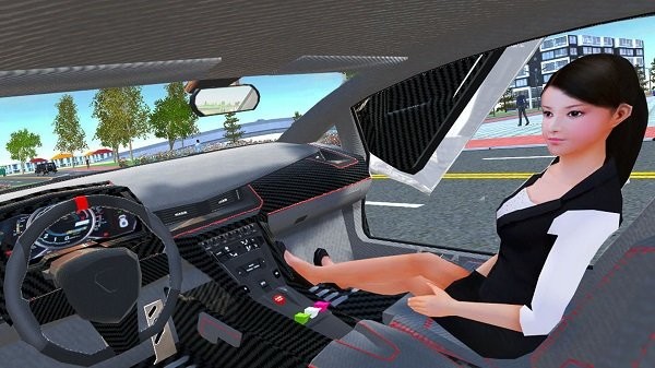 轻松驾驶模拟器手游app截图