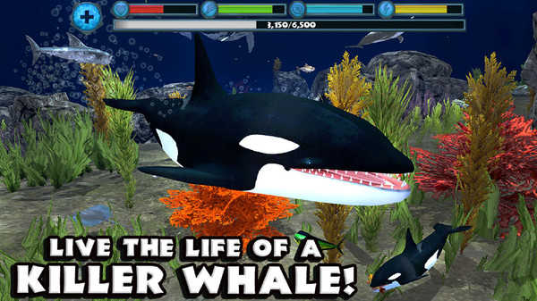 终极虎鲸模拟器2手游app截图