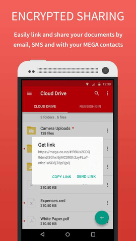 MEGA云盘 安卓版手机软件app截图
