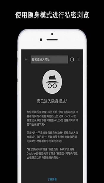 谷歌浏览器 2024最新版手机软件app截图