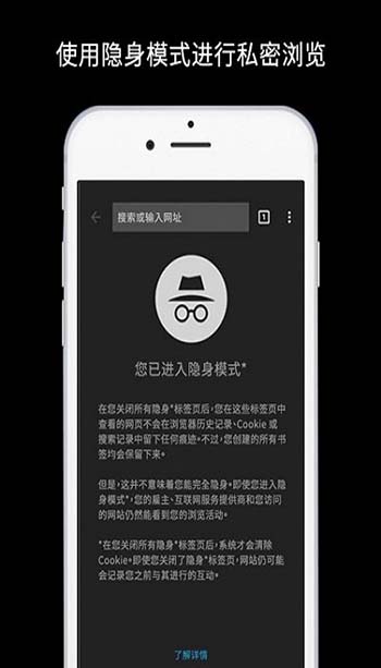 谷歌浏览器 免费下载手机中文版手机软件app截图