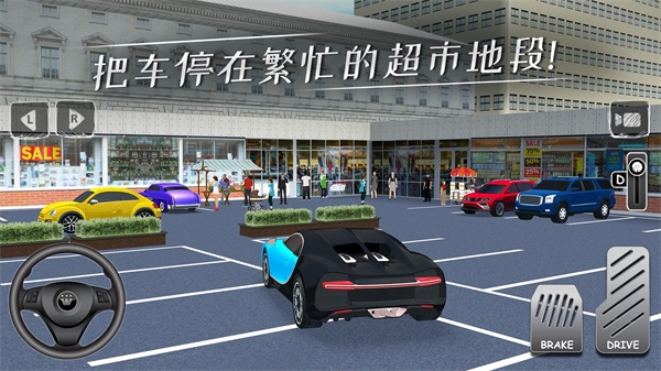 停车专家 中文版手游app截图