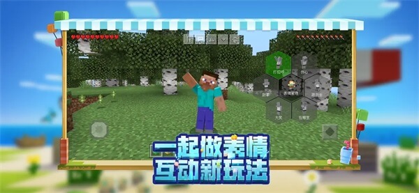 minecraft 基岩版最新版手游app截图