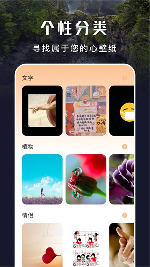 主题盒 最新版本免费版手机软件app截图