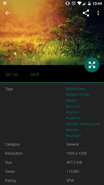 wallhaven 免费版手机软件app截图