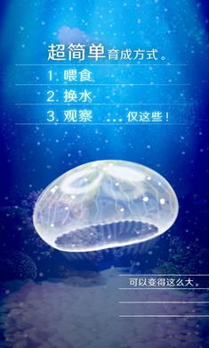 养育水母的治愈游戏 汉化版手游app截图