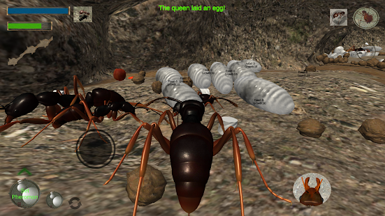 3d蚂蚁模拟器 中文版手游app截图