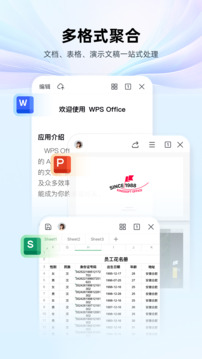 wps office 免费完整版手机软件app截图