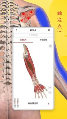 3d人体解剖学手机软件app截图