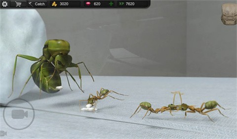 蚂蚁模拟大亨 最新版手游app截图
