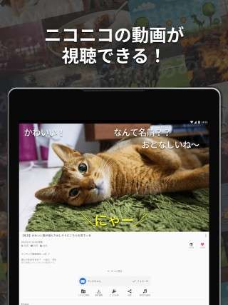 Niconico动画 中文版手机软件app截图
