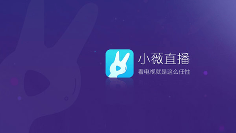 小薇电视 官方正版手机软件app截图