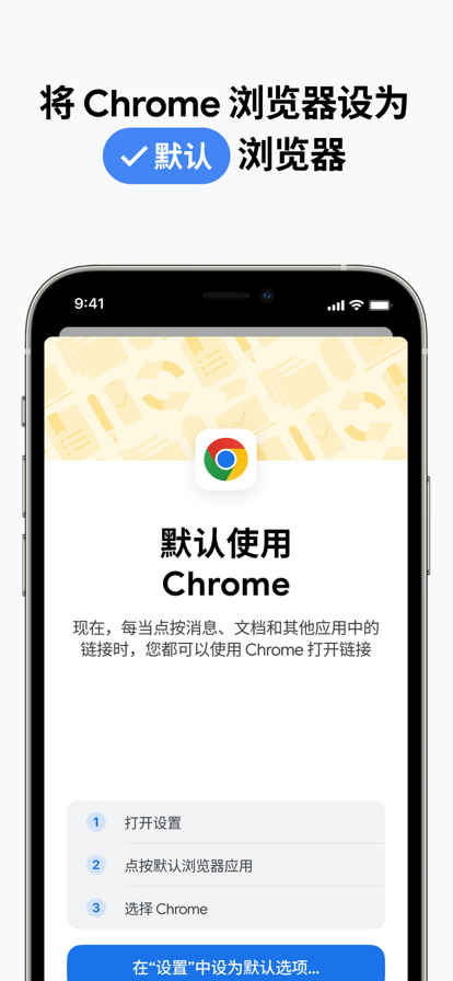 Google Chrome手机软件app截图
