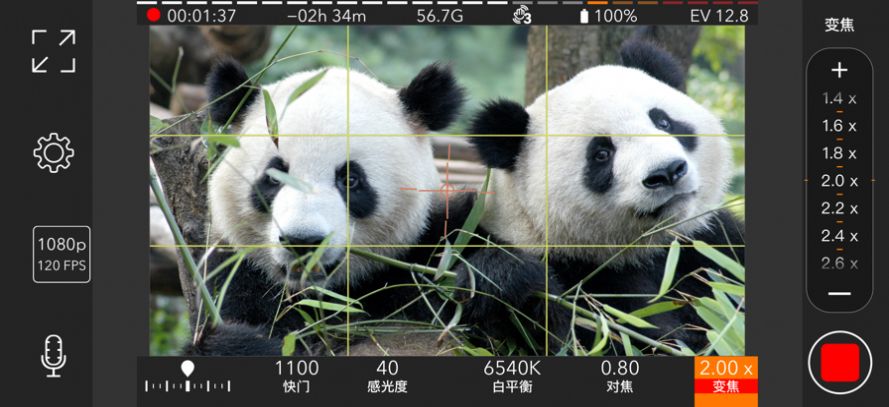 ProMovie 专业摄像机手机软件app截图
