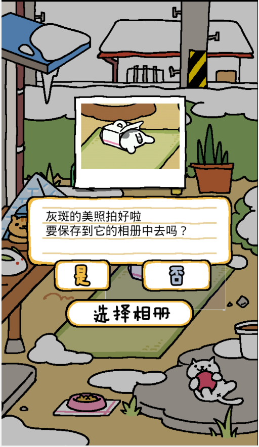 猫咪后院2手游app截图