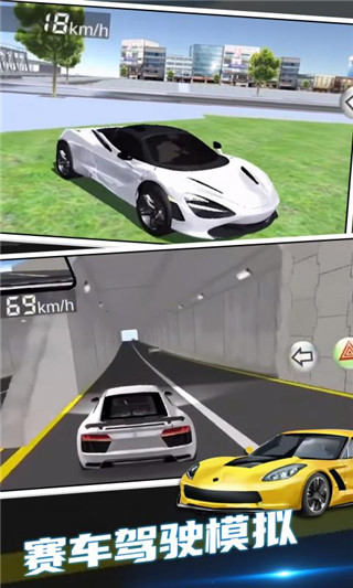 3d驾驶模拟器手游app截图