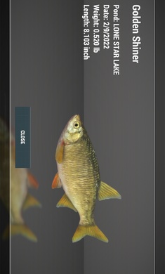 Fishing Planet手游app截图