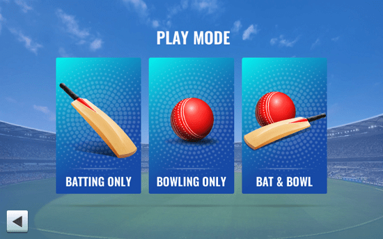 T20板球冠军3D手游app截图