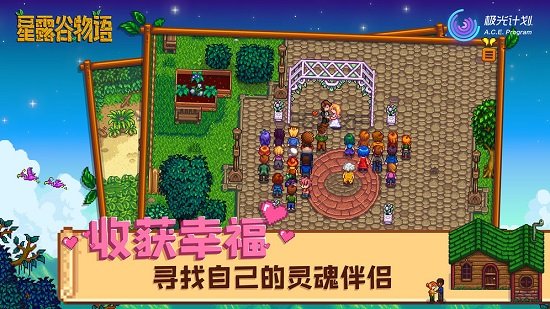 星露谷物语 2.0汉化版手游app截图