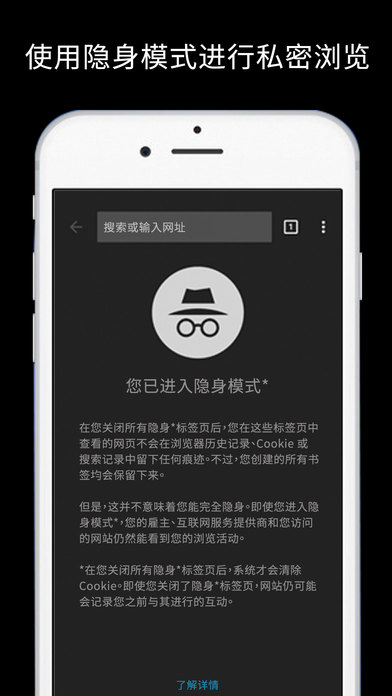 谷歌浏览器 app网页版入口手机软件app截图