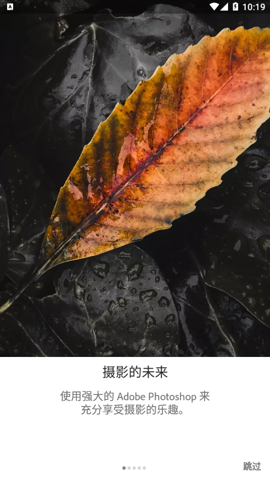 lightroom 中文版手机软件app截图