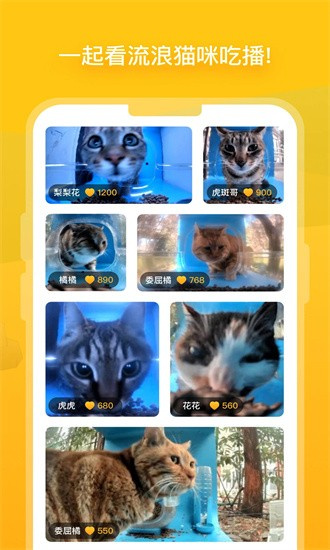 哈啰街猫手机软件app截图