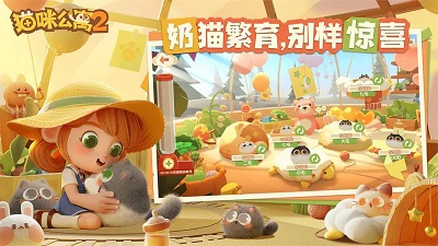 猫咪公寓2 最新版手游app截图