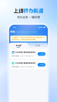 个人所得税 官网版手机软件app截图