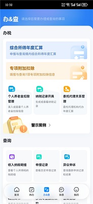 个人所得税 app正版官方手机软件app截图