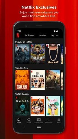Netflix 安卓tv版手机软件app截图