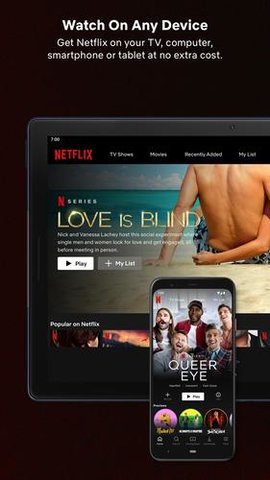 Netflix 安卓tv版手机软件app截图