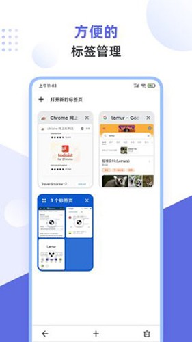 狐猴浏览器 2024最新版手机软件app截图