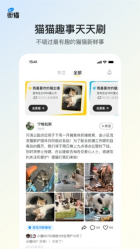 哈啰街猫 最新版手机软件app截图