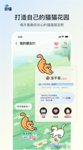 哈啰街猫 最新版手机软件app截图