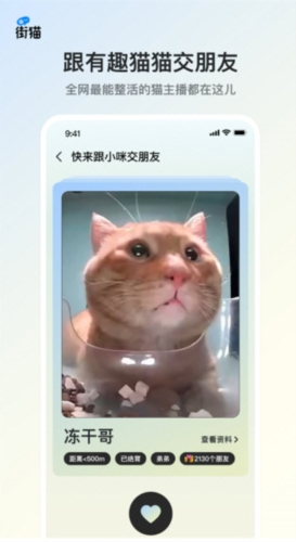 哈啰街猫 最新版手机软件app截图