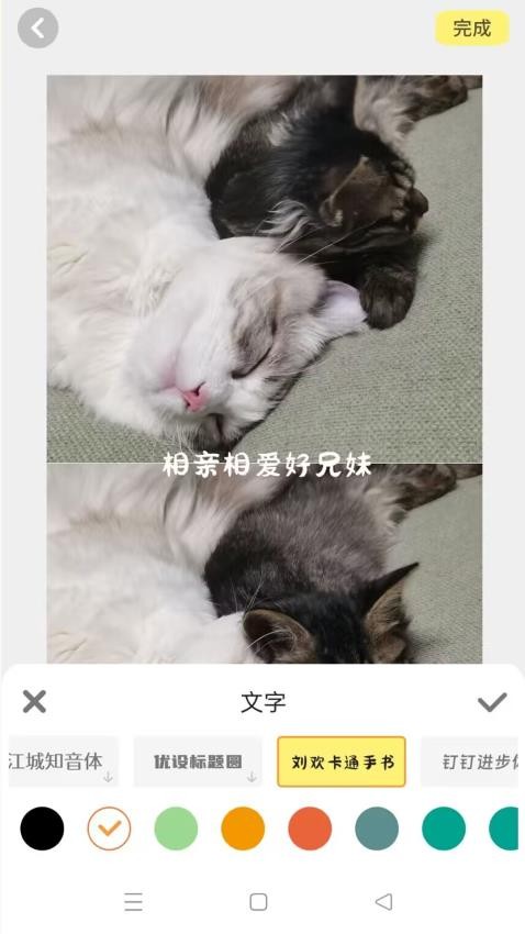 百变换壁纸手机软件app截图