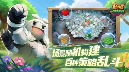 动物森林法则 正式版下载手游app截图