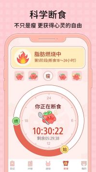 番茄闪轻手机软件app截图