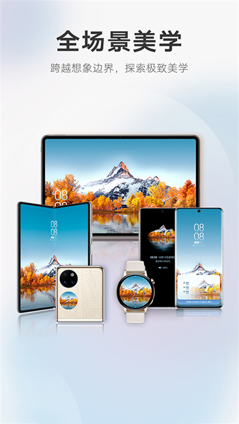 荣耀主题商店手机软件app截图