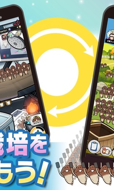 菇菇栽培研究室 最新版手游app截图