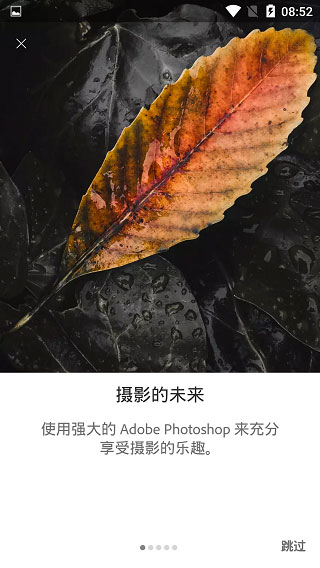 lightroom 官方正版入口手机软件app截图