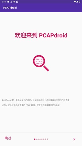 pcapdroid手机软件app截图
