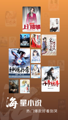 洋葱小说手机软件app截图