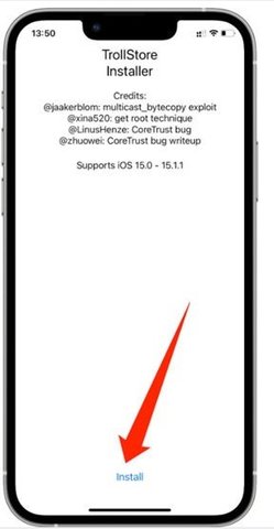 trollstore 汉化补丁手机软件app截图