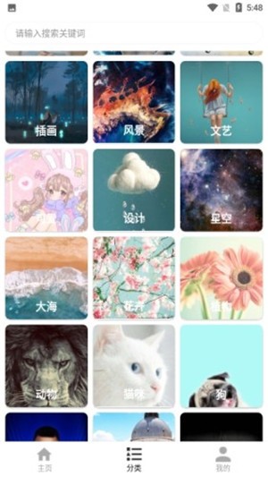 花样壁纸 安卓版手机软件app截图