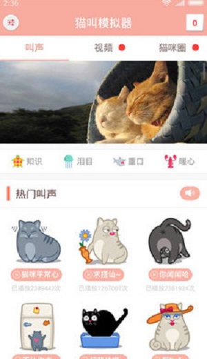 猫叫模拟器手机软件app截图