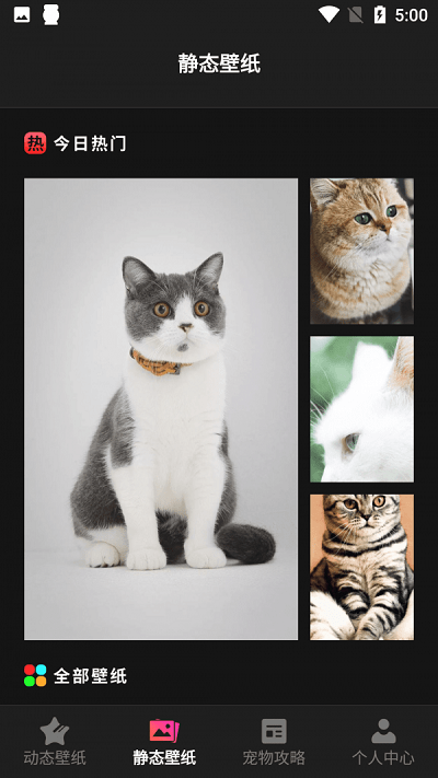 猫吖壁纸 手机高清壁纸手机软件app截图