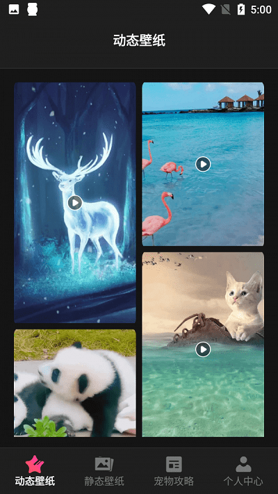 猫吖壁纸 手机高清壁纸手机软件app截图